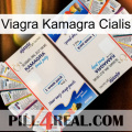 Viagra Kamagra Cialis kamagra1